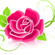 rose-gf1777143b_640